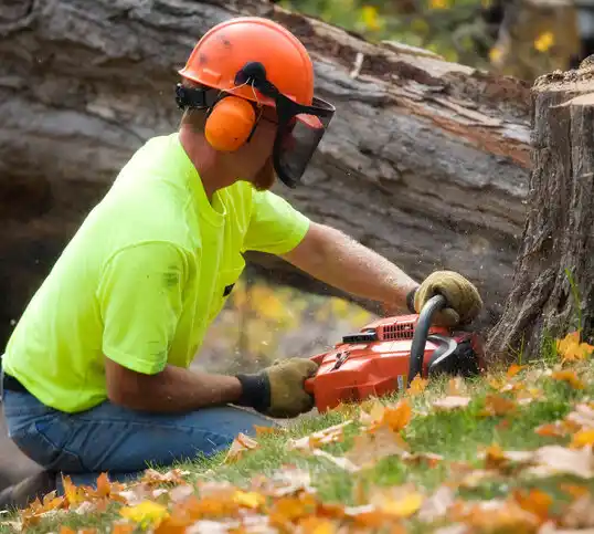 tree services McDonald